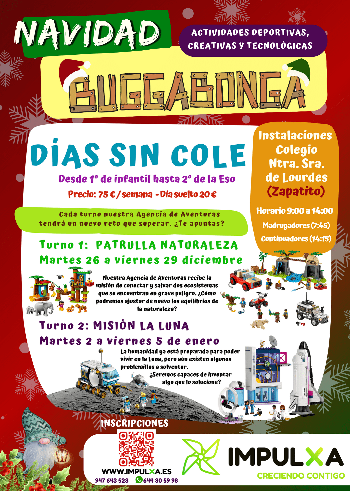 2023 NAVIDAD ZAPATITO